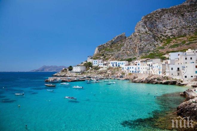 Опазват рибата в Черно море с арт инициатива