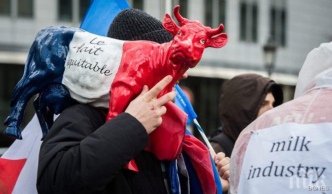 Белгийски министър моли да не се намаляват изкупните цени на млякото