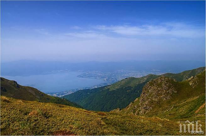 Конгура е сред 10-те най-ценни резервата в България