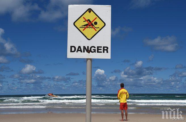 Затвориха плажове в Австралия заради опасност от акули