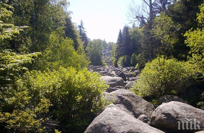 Столичани ще търсят прохлада през уикенда на Витоша