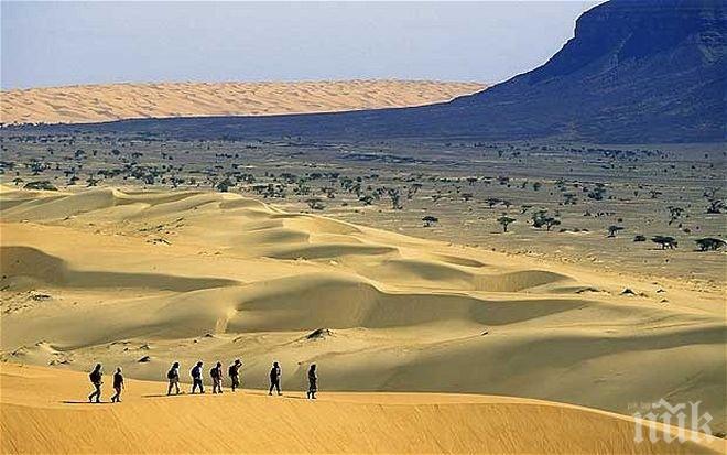 Още седмица жега от Сахара! В сряда до 42 градуса, прогнозира синоптик