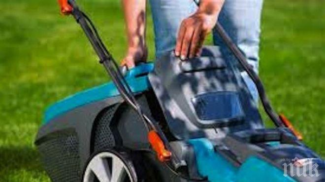 Редовно се поддържат тревните площи във Видин
