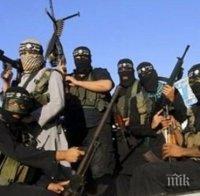 Сирийската армия и кюрдските групи са изтласкали „Ислямска държава“ от Хасеке