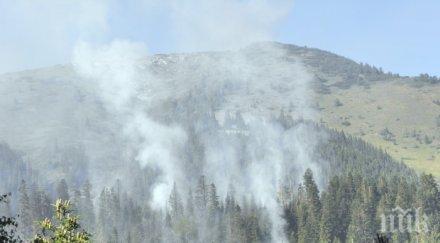 местните помагали гасенето пожарите рила