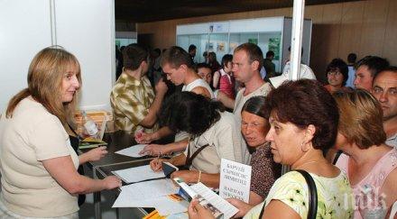 кърджали работа висшисти