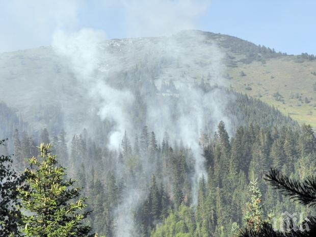 Местните не са помагали за гасенето на пожарите в Рила