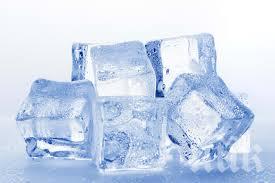 Ледът за половин Слънчев бряг бил произвеждан в мръсен свинарник