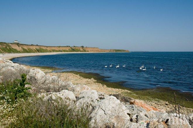 Пореден абсурд по Черноморието - огради към плажа
