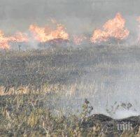 Пожарът край хасковското село Брягово се разраства, вече обхваща 1000 дка