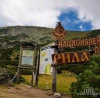 Огнище на болестта бруцелоза сред дребните преживни животни е открито и потвърдено на територията на община Рила