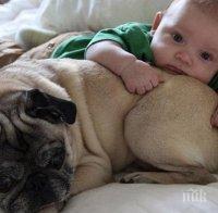 Забавна колекция снимки на малки сладури. Те ще те накарат да се усмихнеш!