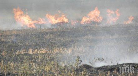 пожарът хасковското село брягово разраства вече обхваща 1000 дка
