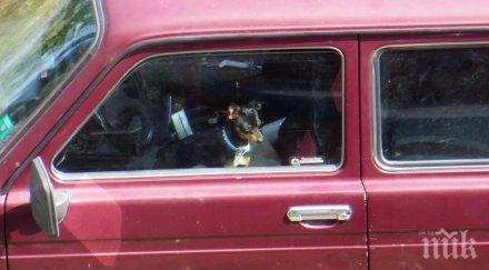 забранява влизането пътни превозни средства посоки христо белчев солунска иван денкоглу