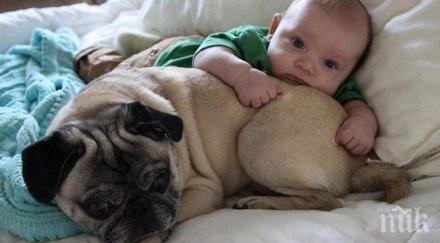 забавна колекция снимки малки сладури накарат усмихнеш