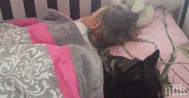 Майка отива да провери своето бебче си и намира един невероятен пазител до нея! 