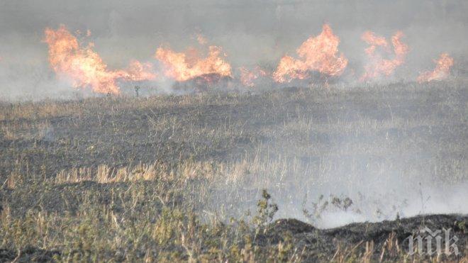 Пожарът край Брягово е овладян