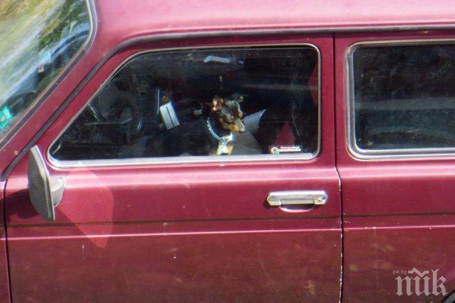 Забранява влизането на пътни превозни средства в двете посоки по ул. „Христо Белчев” между ул. „Солунска” и ул. „Иван Денкоглу”,