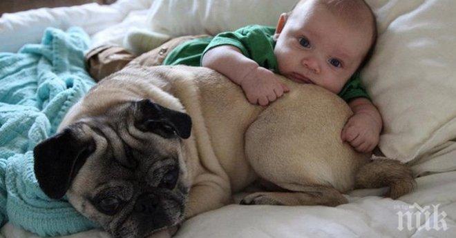 Забавна колекция снимки на малки сладури. Те ще те накарат да се усмихнеш!