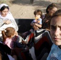 Повече от 600 деца от Близкия Изток са потърсили убежище във Великобритания