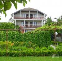 Как да опазим къщата от влечуги и гризачи