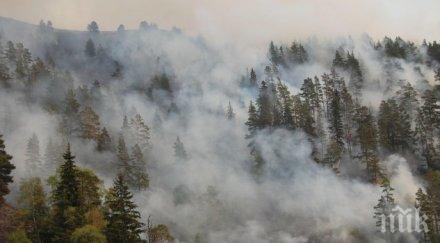 пожарите дължат небрежност