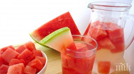 лечебните свойства динята пъпеша