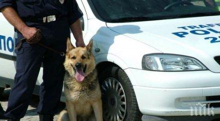 зрелищна акция софия разбиха група наркотрафик конфискувани оръжия