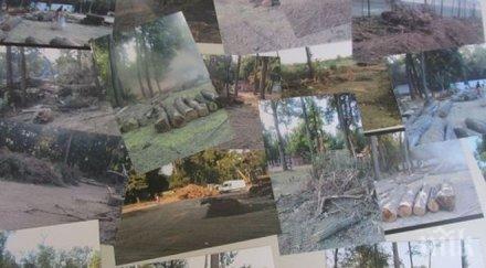 пловдивчани нова акция унищожаването парк отдих култура