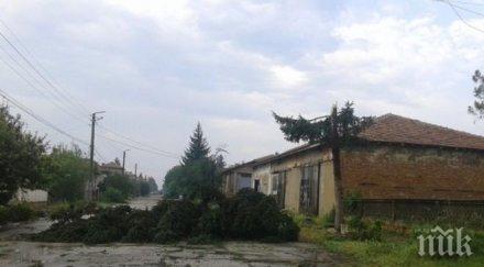 ураган изпочупи къщи изкорени дървета драгомирово снимки