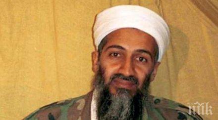 хора семейството бин ладен загинали самолетната катастрофа лондон