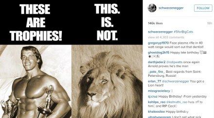 сащ мълчи екстрадацията убиеца лъва сесил