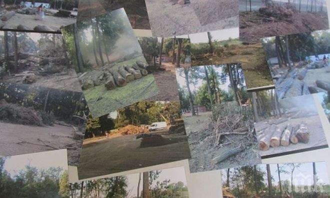 Пловдивчани с нова акция срещу унищожаването на парк Отдих и култура