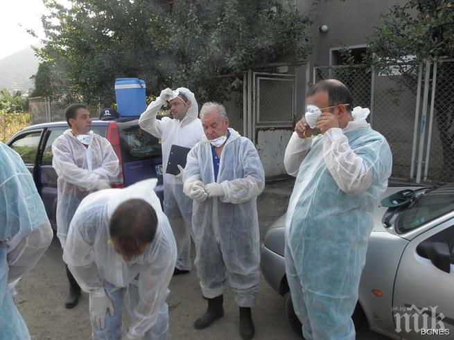 Заболелите от бруцелоза станаха 11 