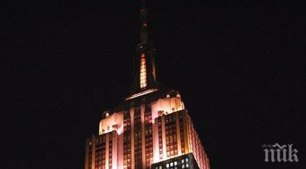 емпайър стейт билдинг светна защита застрашените животни