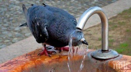 кошмар жегата завръща другата седмица