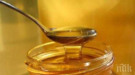 странджанският манов мед става защитено географско название