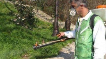 пръскат комари цикади морката градина варна