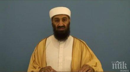 близки бин ладен загинали самолетна катастрофа