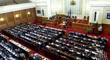 социолог гласуването референдум показа задкулисна дейност