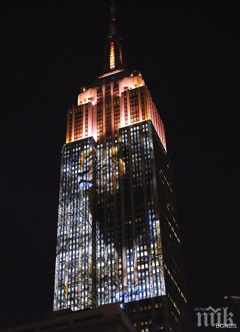 Емпайър стейт билдинг светна в защита на застрашените животни