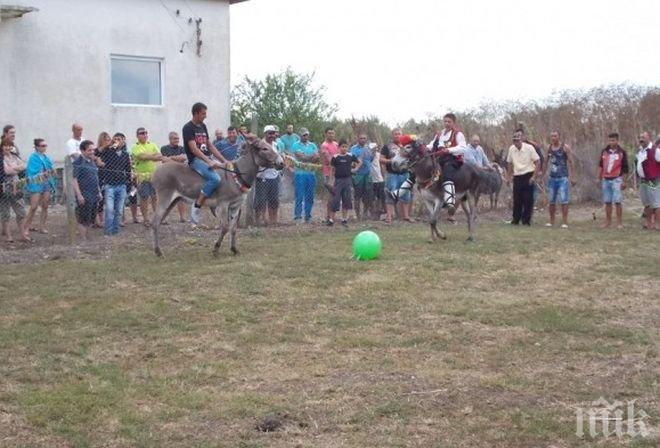 Бойко спечели спринта на магариадата в Камен бряг