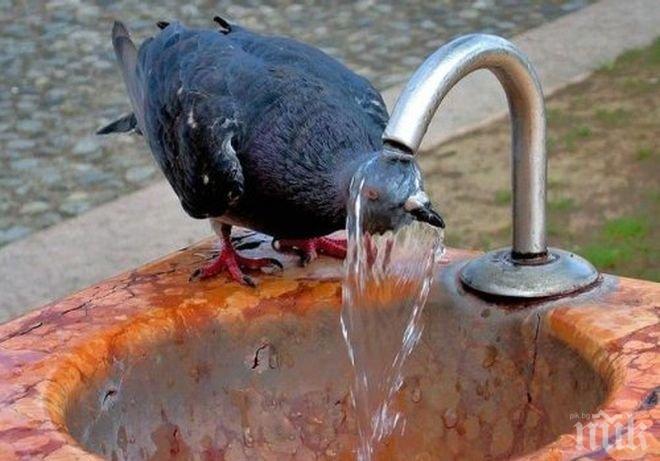 Кошмар! Жегата се завръща другата седмица