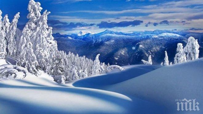 Учените разбраха коя година е паднал метеоритът, предизвикал последната ледникова епоха