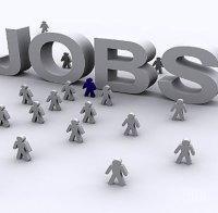 100 нови работни места ще бъдат открити в Община Твърдица