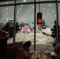 Дубай ще прави най-големия закрит ски курорт в света