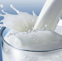 Полските фермери ще платят по 220 евро за всеки 100 литра мляко, произведени над нормата