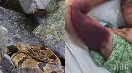 селфи змия струва 153 000 долара