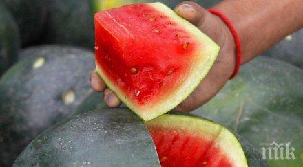 световният ден динята