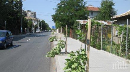 хора герб чупят дръвчета бсп